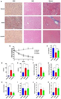 Luteolin alleviates methionine–choline-deficient diet-induced non-alcoholic steatohepatitis by modulating host serum metabolome and gut microbiome